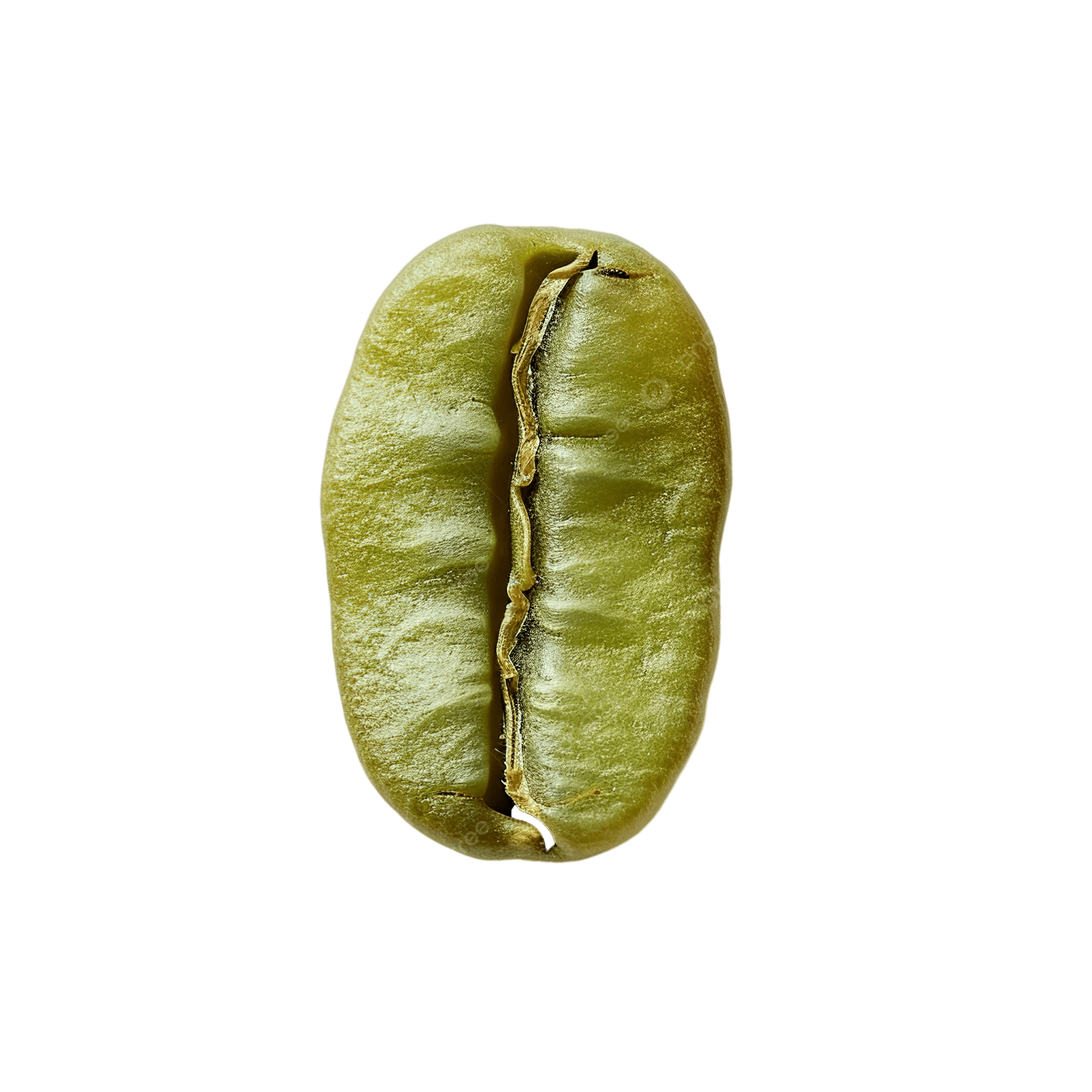 Ethiopian Green Coffee Bean
